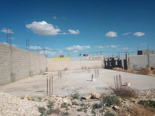 Vente Terrain Khenchela El mahmal