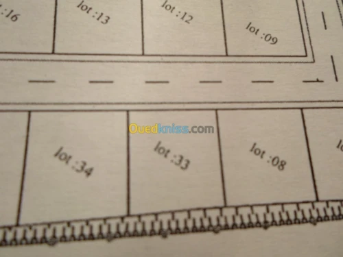 Vente Terrain Tlemcen Chetouane