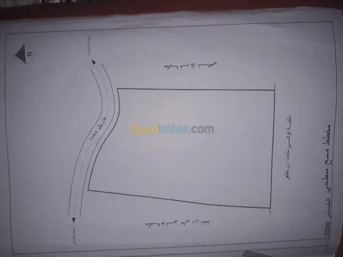 Vente Terrain Bouira Maala