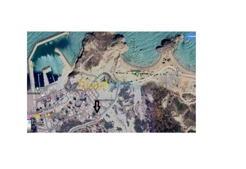 Vente Terrain Tlemcen Marsa ben mhidi