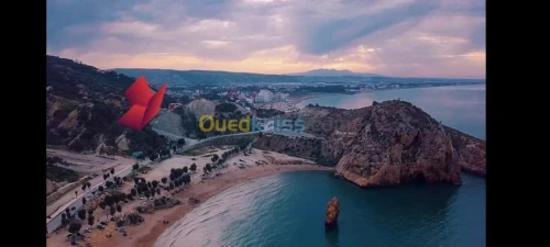 Vente Terrain Tlemcen Marsa ben mhidi