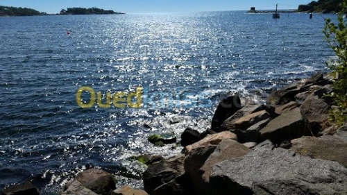 Vente Terrain Jijel El aouana