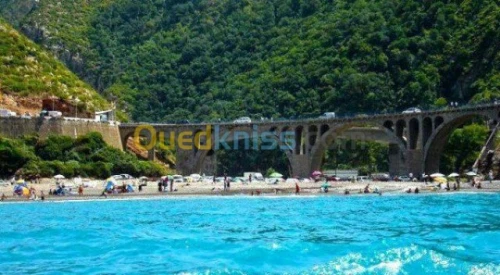 Vente Terrain Jijel El aouana