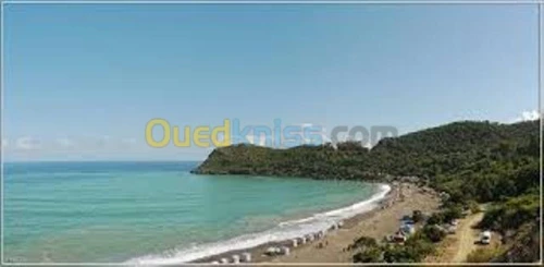 Vente Terrain Jijel El aouana