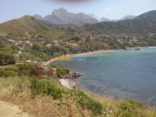 Vente Terrain Jijel El aouana