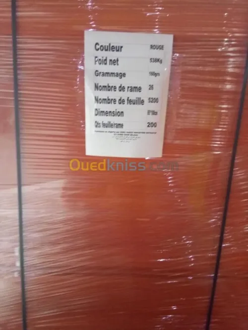 PAPIER PASTORAL 80G 