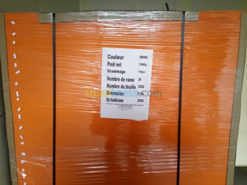 PAPIER PASTORAL 80G 