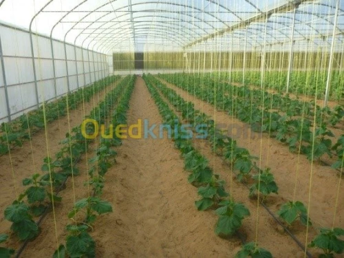 domaine d’installation des poulaillers