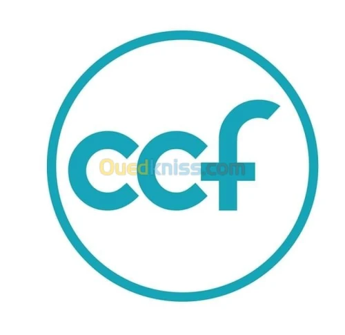 formations linguistiques pro 