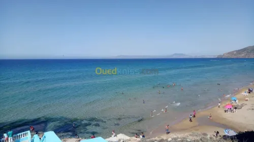 Location Appartement F2 Oran Ain el turck