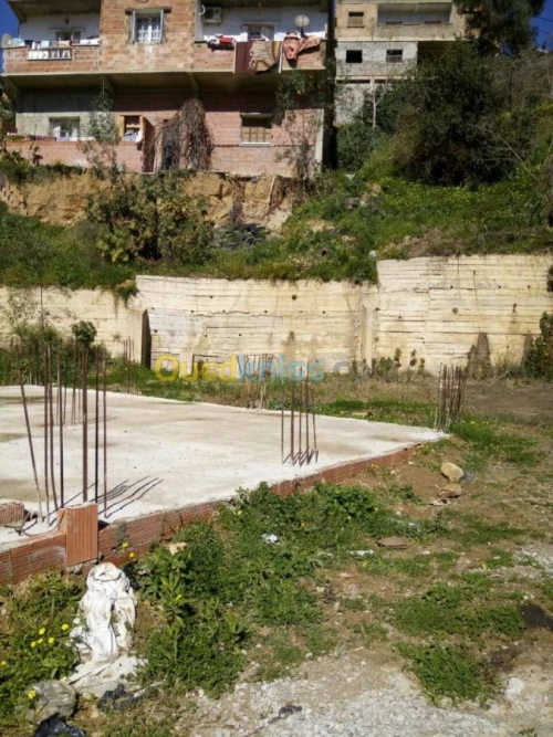 Vente Terrain Alger Bouzareah