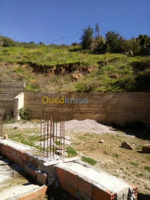 Vente Terrain Alger Bouzareah