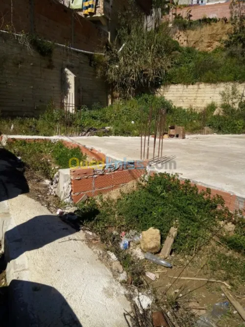 Vente Terrain Alger Bouzareah