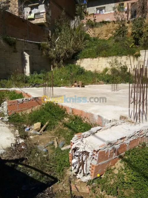 Vente Terrain Alger Bouzareah