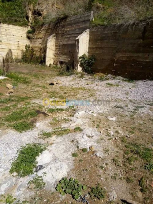 Vente Terrain Alger Bouzareah