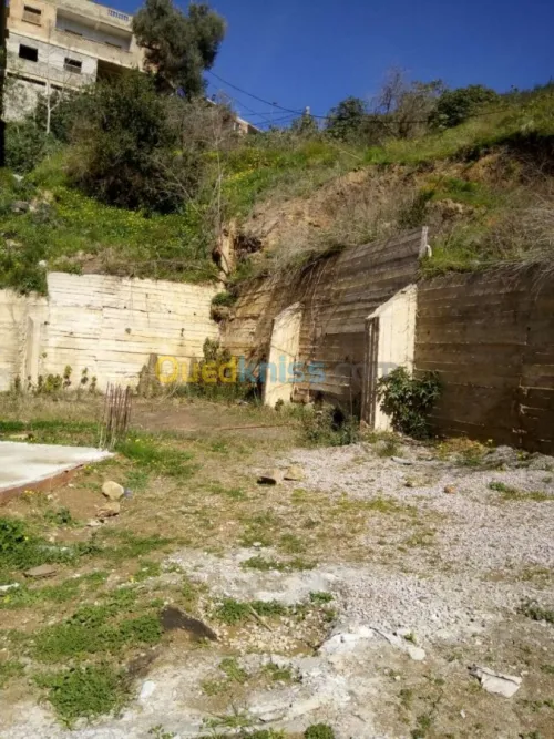 Vente Terrain Alger Bouzareah