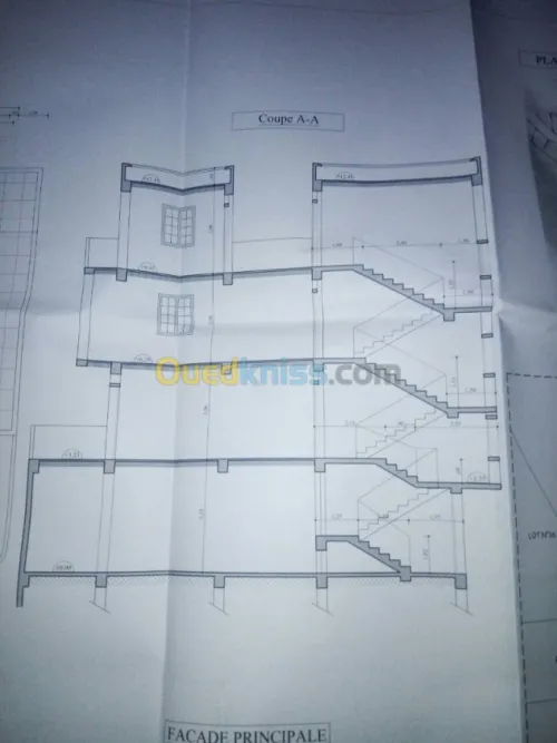 Vente Terrain Alger Bouzareah