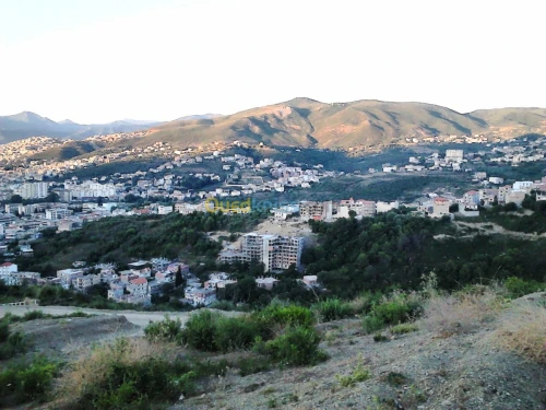 Vente Terrain Béjaïa Bejaia