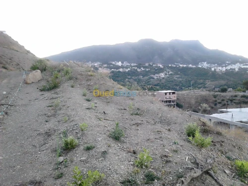 Vente Terrain Béjaïa Bejaia