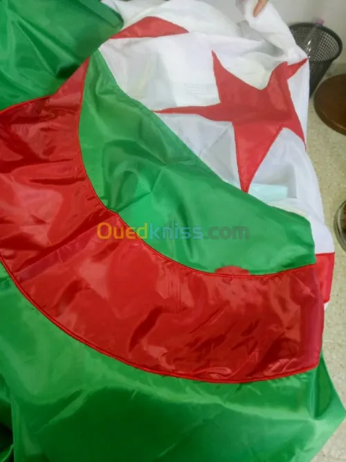 les drapeaux national algerien