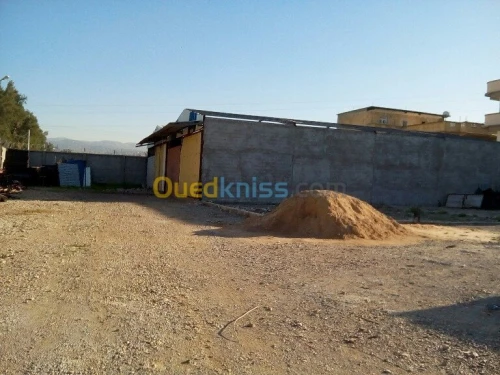 Location Terrain Alger Rouiba