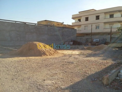 Location Terrain Alger Rouiba