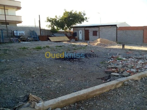 Location Terrain Alger Rouiba
