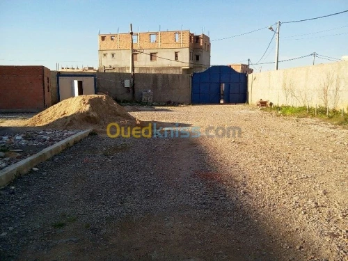 Location Terrain Alger Rouiba