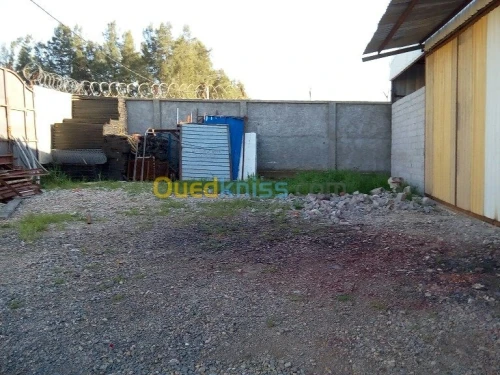 Location Terrain Alger Rouiba