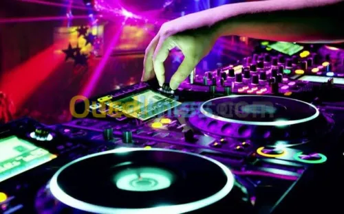 Dj camilia