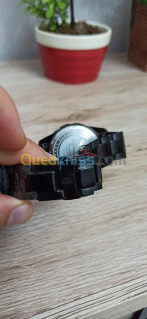 invicta Roberto Cavalli nautica sieko 
