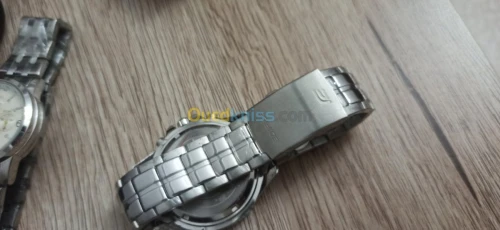 invicta Roberto Cavalli nautica sieko 