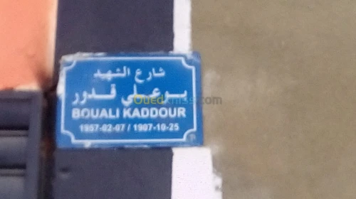 Vente Terrain Chlef Chlef