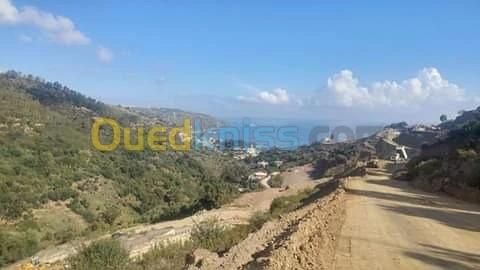 Vente Appartement Skikda Skikda