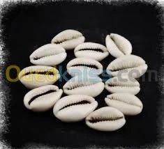 Medecine traditionnel et spirituelle 