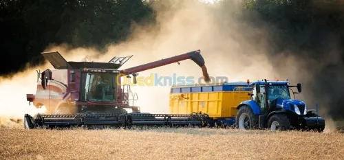 Diagnostic du véhicule