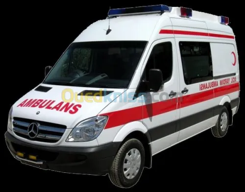 Diagnostic du véhicule