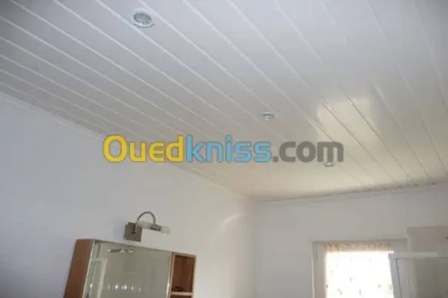 Décoration placo platre .PVC.epoxy 3D