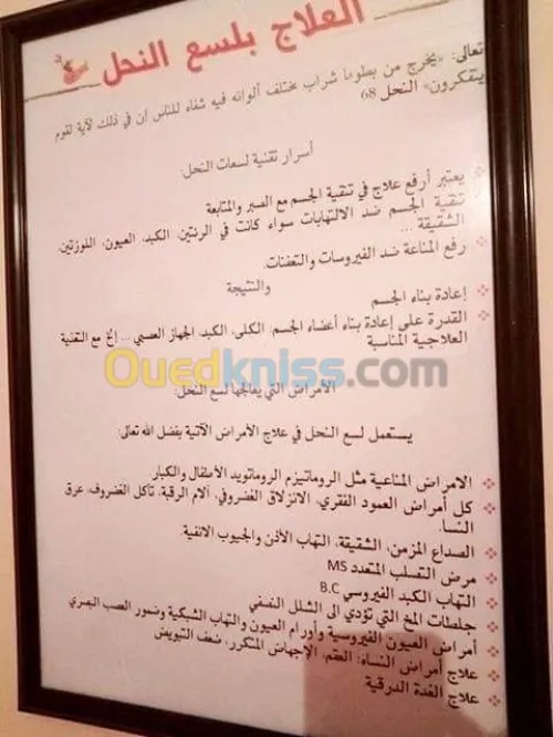 التداوي بالحجامة و لسع النحل