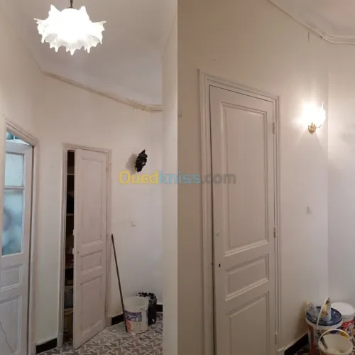 Peintre professionnel 