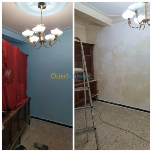 Peintre professionnel 