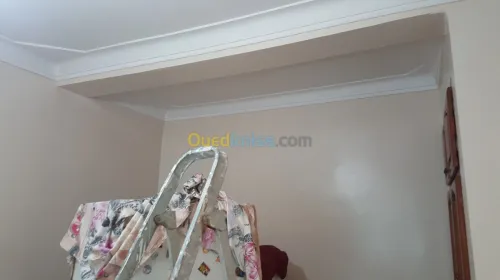 Peintre professionnel 