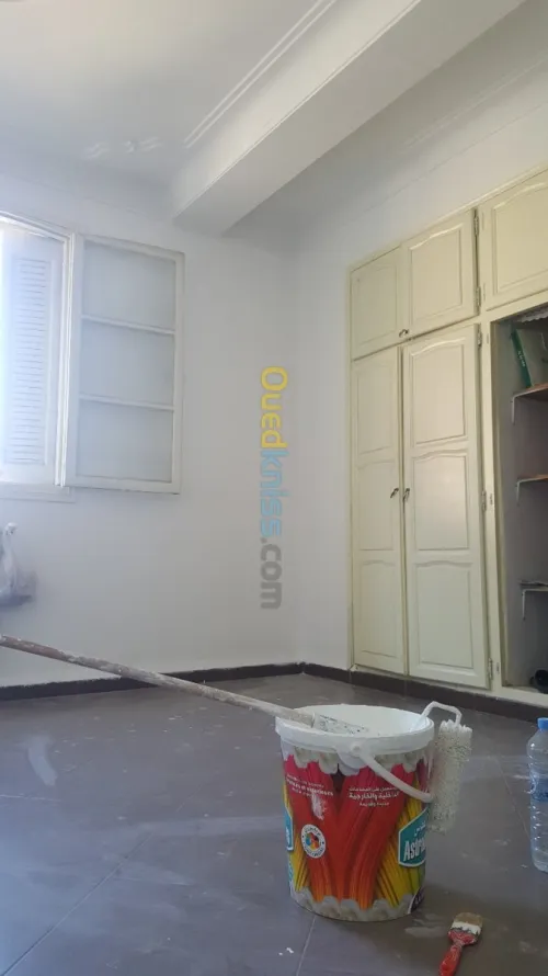 Peintre professionnel 