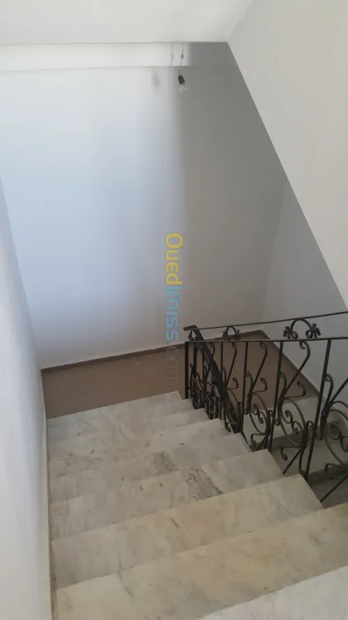 Peintre professionnel 