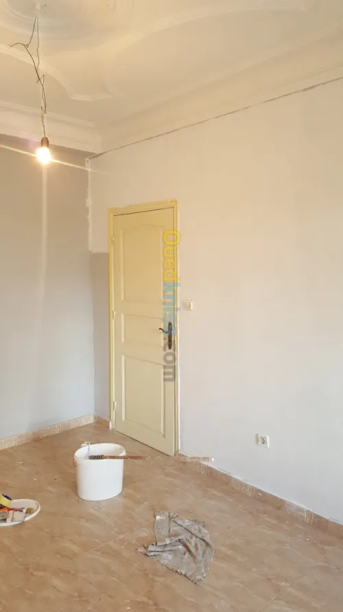 Peintre professionnel 