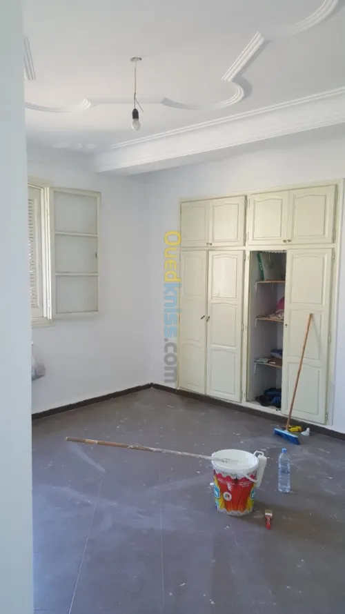Peintre professionnel 