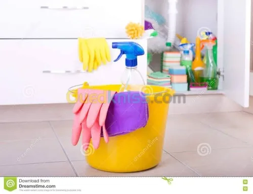 Nettoyage maison