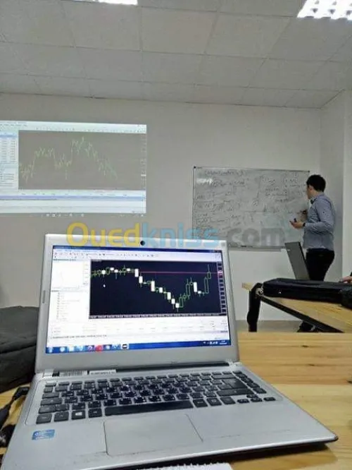 Formation Trading & Bourses (Forex)