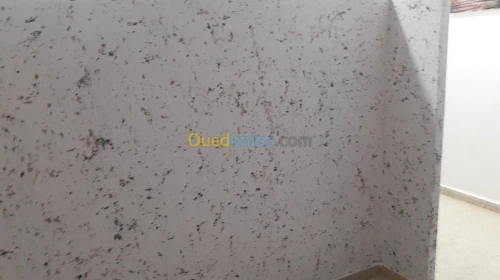 صباغة داخلي وخارجي جميع الديكورات