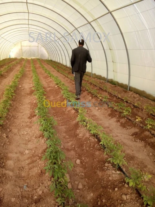 Serres Avicoles et agricoles